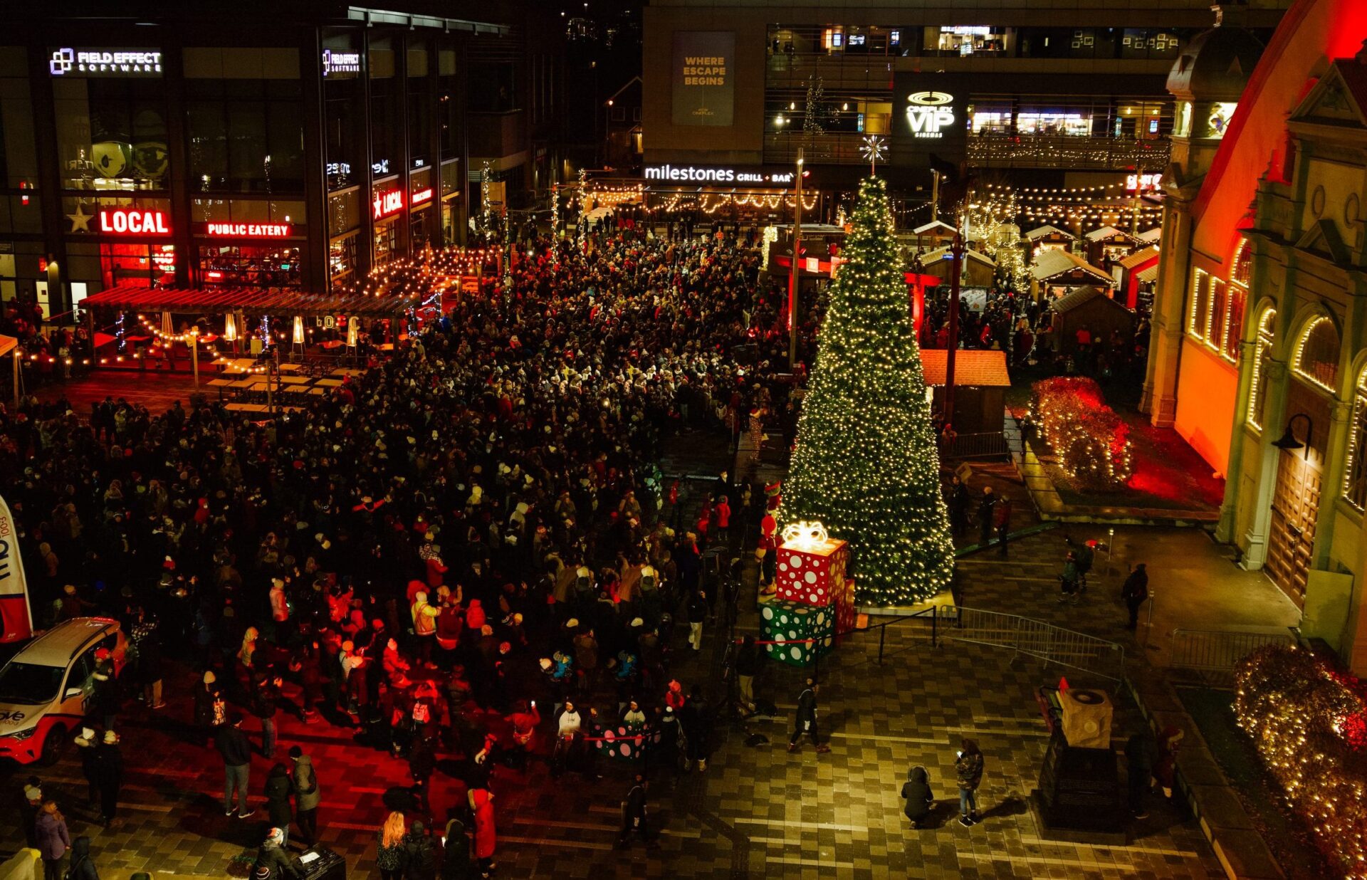 Christmas Tree Lighting